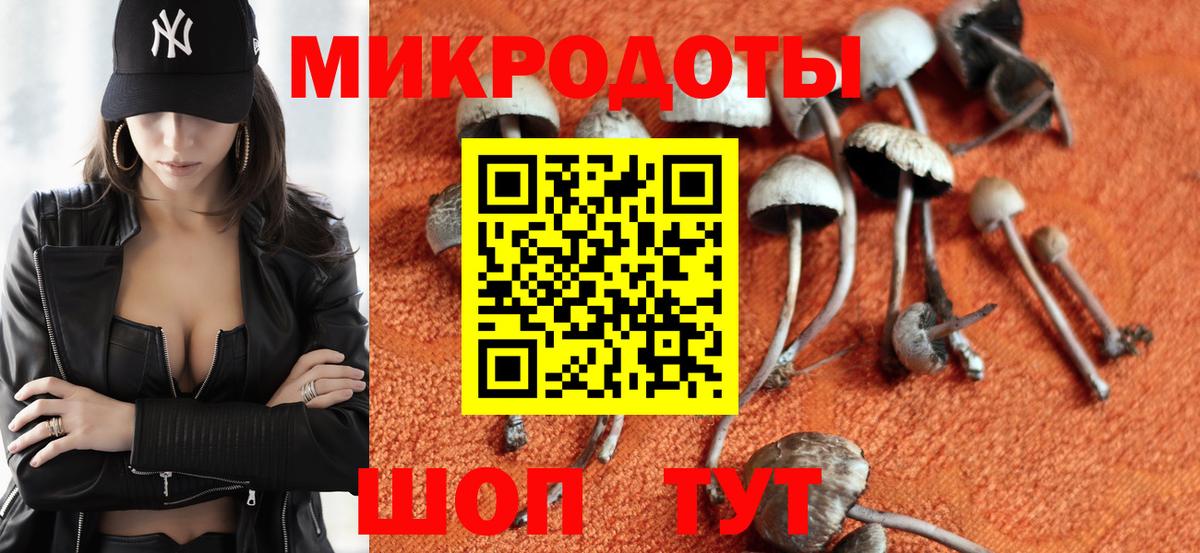 Галлюциногенные грибы мухоморы Гай