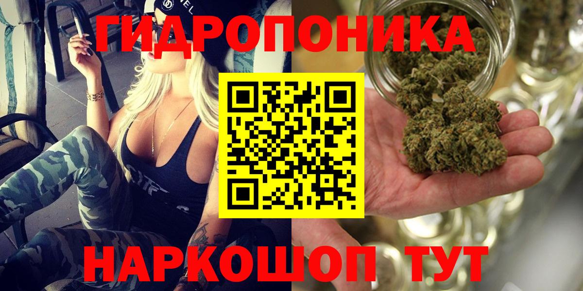 Лсд 25 Гай